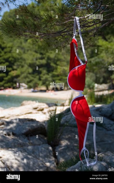 nude beach girls|3,704 Naturism Stock Photos and High